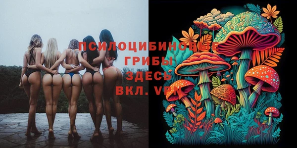 дурь Алзамай