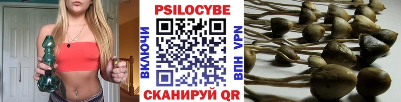 как найти   МЕГА как зайти  Псилоцибиновые грибы MAGIC MUSHROOMS  Завитинск 